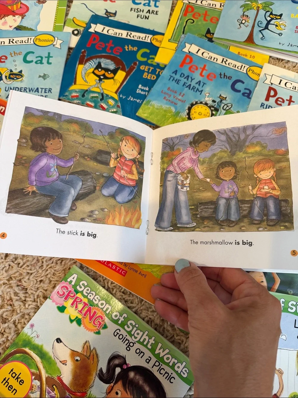 Phonics Learn to read Book Collection